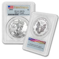 1 oz American Silver Eagle Coin G4240