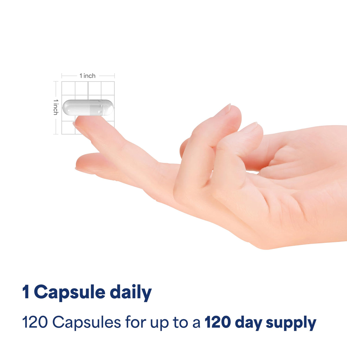 Red Yeast Rice 600mg 240 Capsules C764026